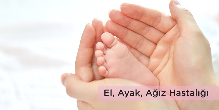 El Ayak Ağız Hastalığı